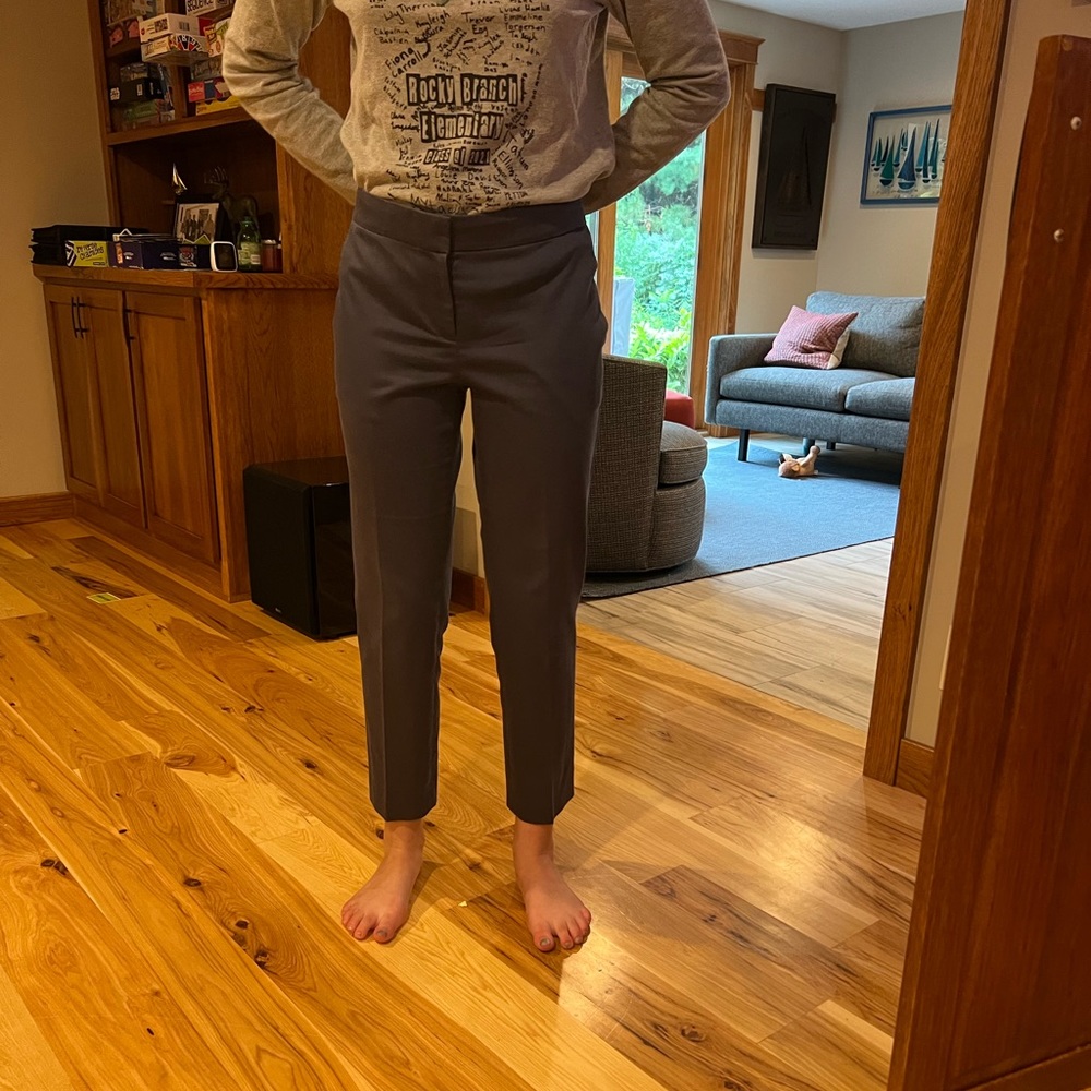 Ann Taylor Devon pant